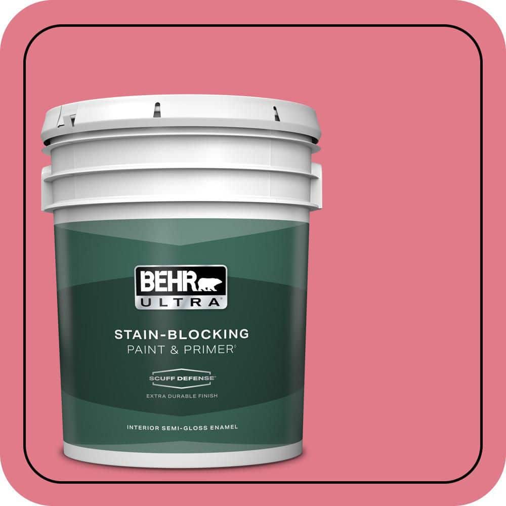 5 gal. #P150-4 Hot Gossip Extra Durable Semi-Gloss Enamel Interior Paint & Primer price history on PriceWatchPro