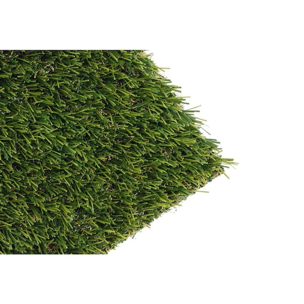 AstroLawn Bonita 15 ft. Wide x Cut to Length Green Artificial Grass Carpet