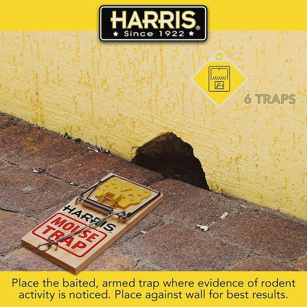 Harris Plastic Mouse Snap Traps, 6 Pk.