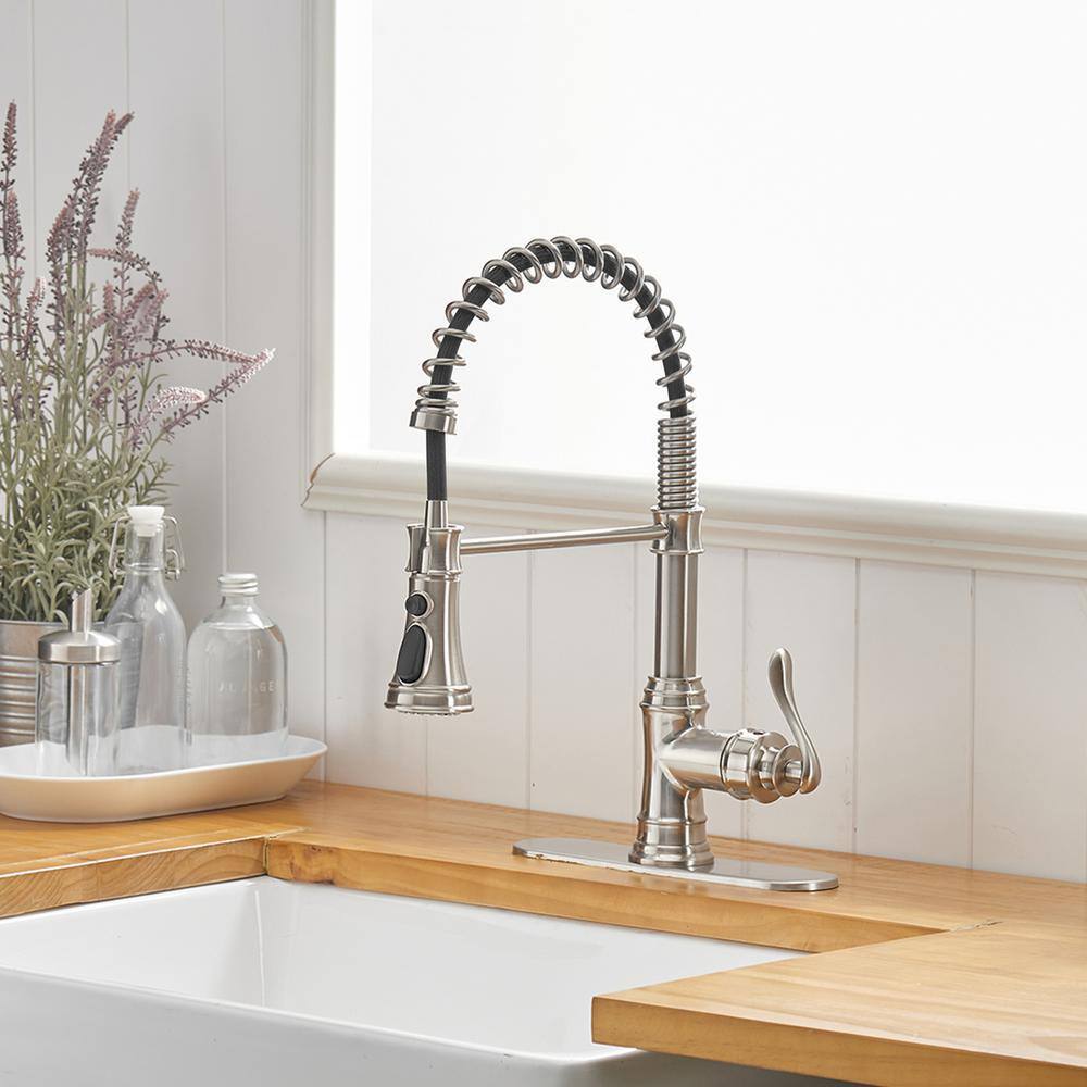 Brushed Nickel Single-Handle Pull-Down Sprayer Kitchen Faucet