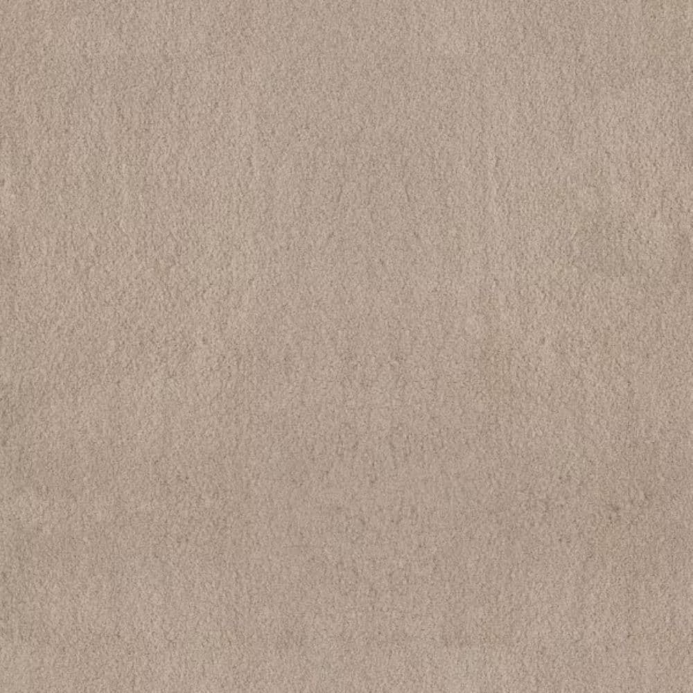 8 in. x 8 in. Texture Carpet Sample-Dreamy Daze II-Color Antique Linen price history on PriceWatchPro