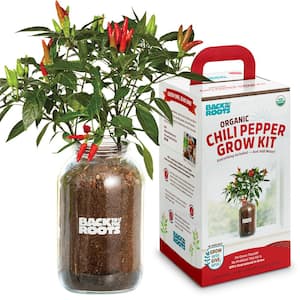 Windowsill Organic Chili Pepper Grow Kit