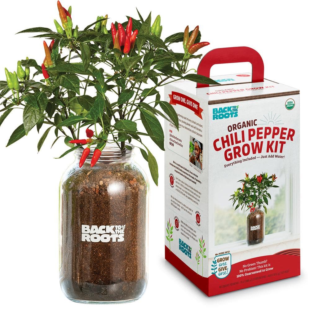 back-to-the-roots-vegetables-