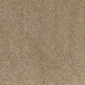 Denfort - Contempo-Brown 70 oz. Triexta PET Texture Installed Carpet