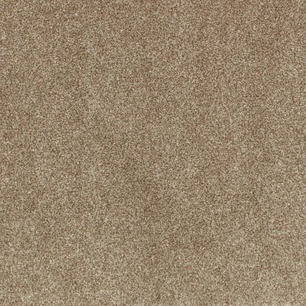 Denfort - Contempo-Brown 70 oz. Triexta PET Texture Installed Carpet
