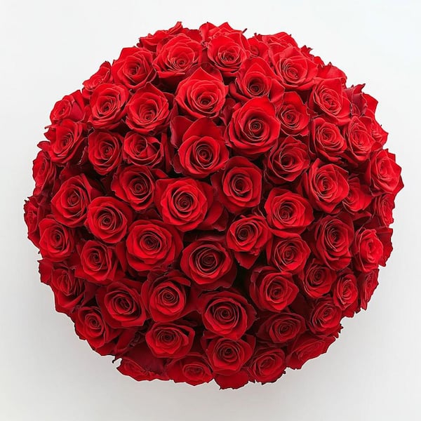 Globalrose Fresh Red Roses for Valentine's Day (100 Stems)