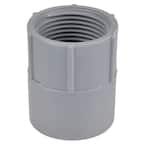 1 in. PVC Female Adapter (Standard Fitting)