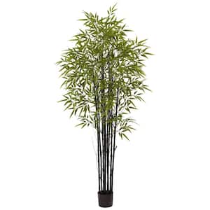 Indoor and Outdoor 6 ft. Artificial Black Bamboo Tree UV Resistant