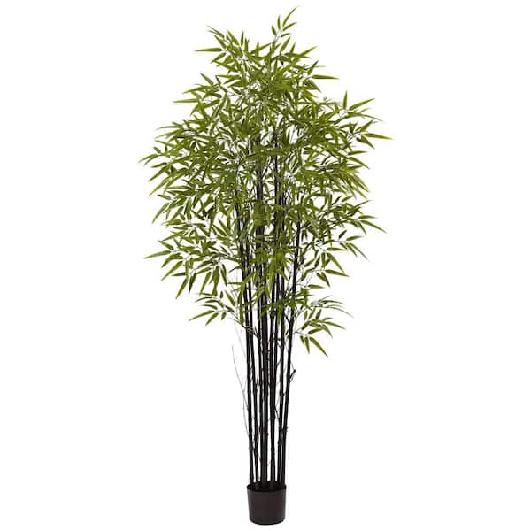 Nearly Natural Indoor and Outdoor 6 ft. Artificial Black Bamboo Tree UV Resistant