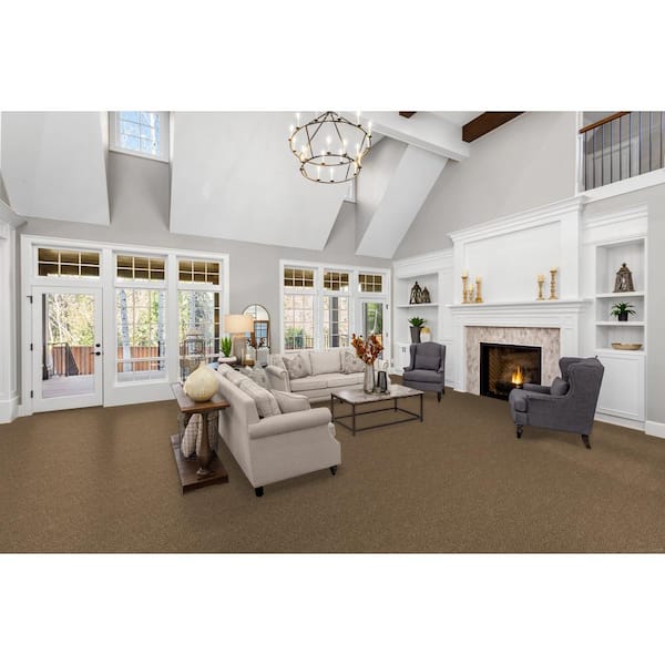 Dignified - Palisades - Brown 16 oz. SD Polyester Texture Installed Carpet