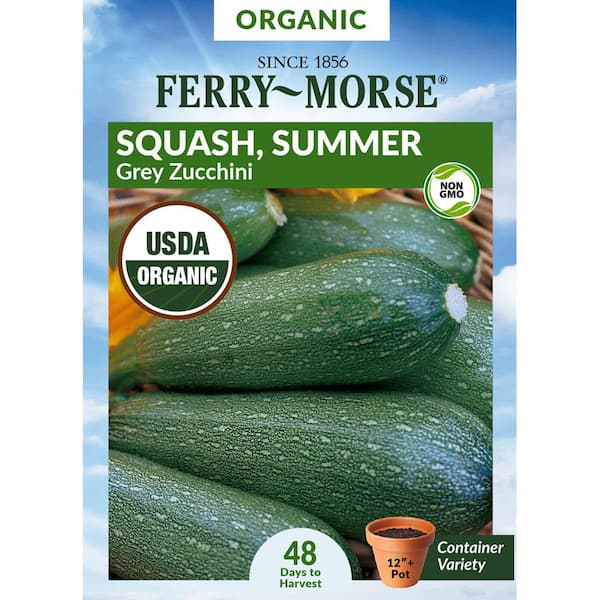 Ferry-Morse Organic Squash Grey Zucchini Fruit Seed