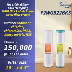 4.5 in. x 20 in. 2-Stage Whole House Water Filter Replacement Set, Heavy Metals, Chlorine, PFAS, Hydrogen Sulfide