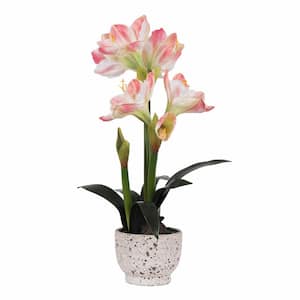 24 in. Artificial Pink Amaryllis Floral Arrangements In A Ceramic Pot