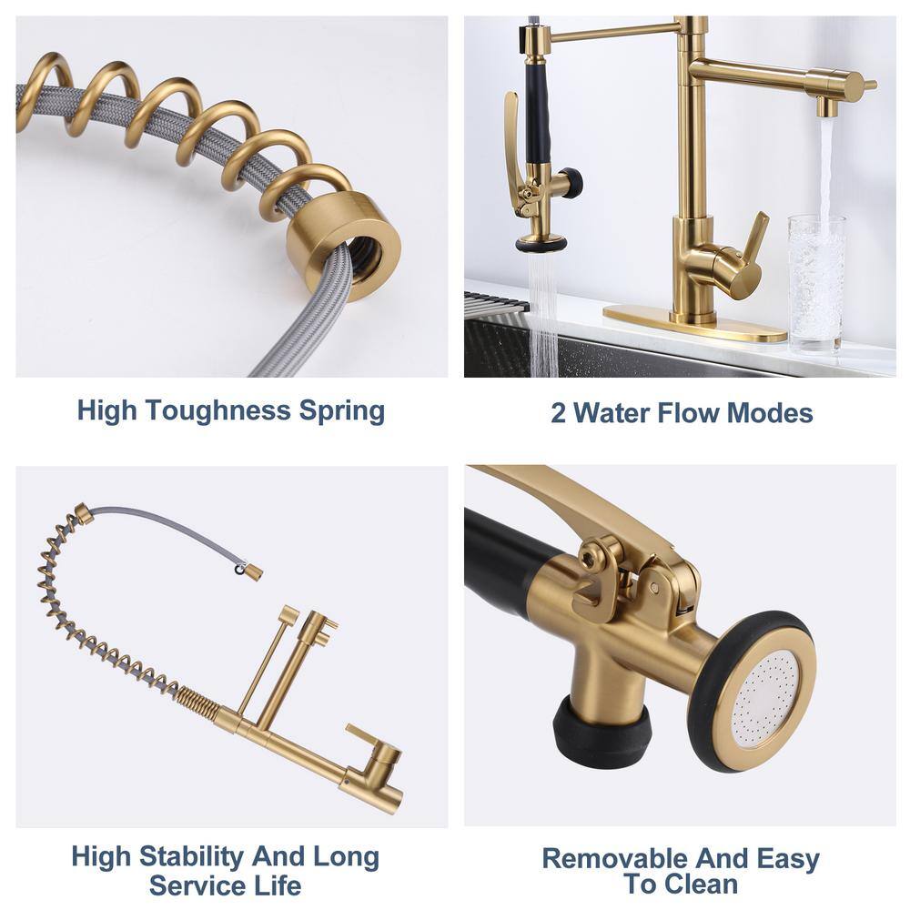 Brushed Gold Commercial High-Arc Kitchen Faucet with Pull-Out Spray