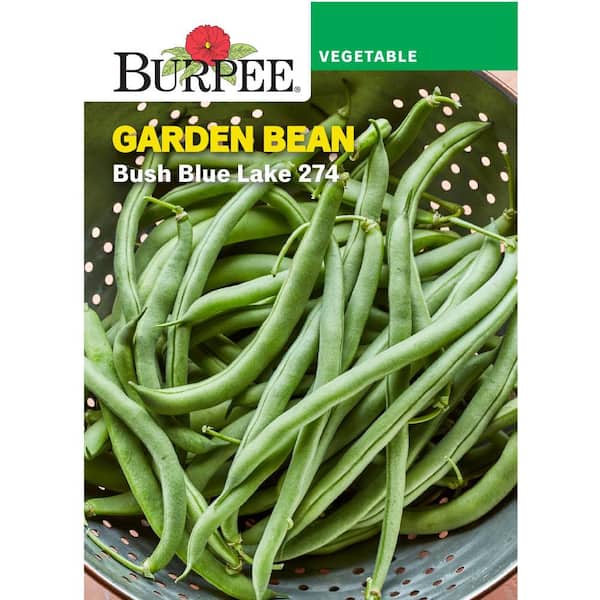Bean Bush Snap Bush Blue Lake 274 Vegetable Seed