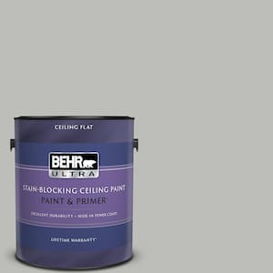 1 gal. #PPU24-17 Hailstorm Gray Ceiling Flat Interior Paint with Primer