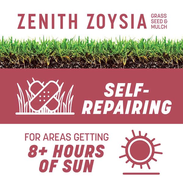 Zenith Zoysia 5 lb. 1,000 sq. ft. Grass Seed and Mulch