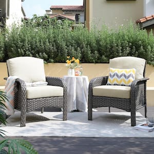 Denali Gray Modern Wicker Outdoor Lounge Chair Seating Set with Beige Cushions (2-Pack)