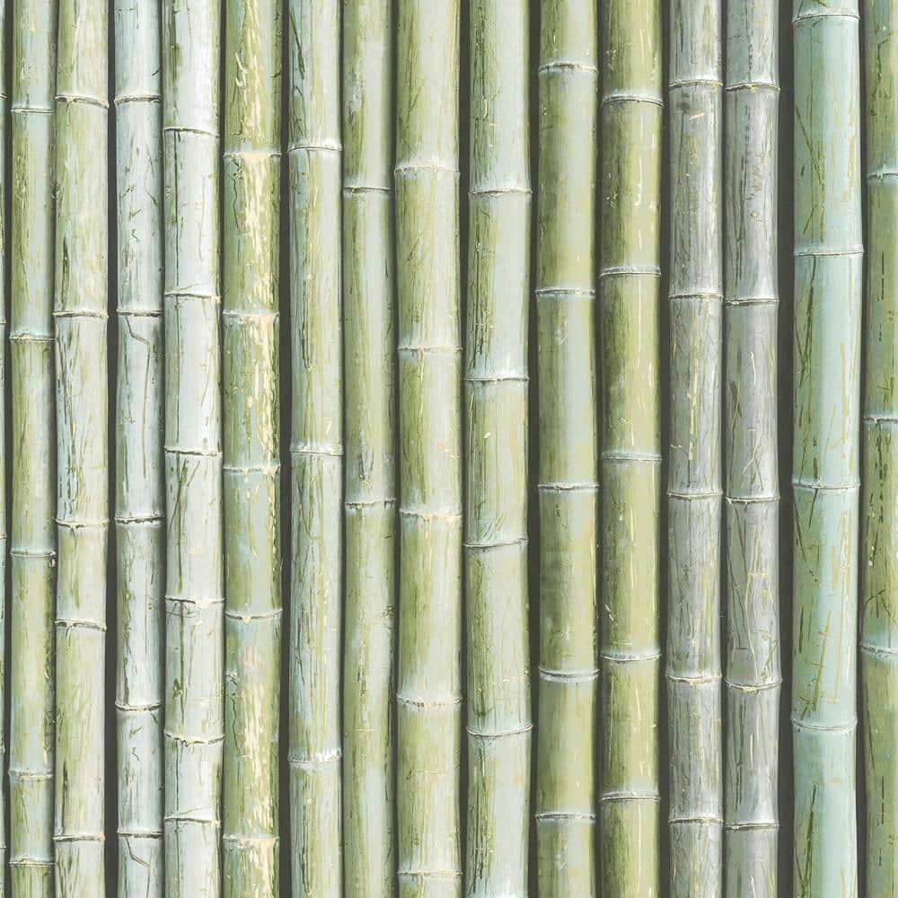 Patton Bamboo Vinyl Strippable Roll (Covers 55 sq. ft.) G67941 - The Home  Depot