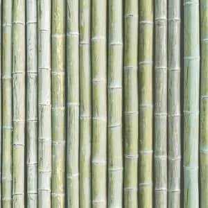 Bamboo Vinyl Strippable Roll (Covers 55 sq. ft.)