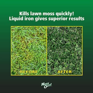1 gal. 2,000 sq. ft. Lawn Moss Killer Concentrate Dry Fertilizer