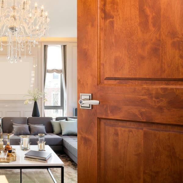 Baldwin Torrey Satin Nickel Low Profile Rose Keyed Entry Door