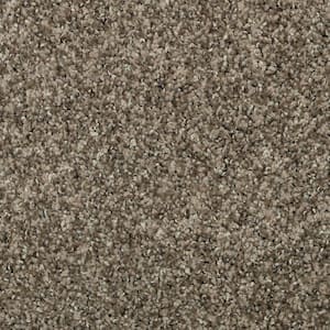 8 in. x 8 in. Texture Carpet Sample - Barx I -Color Hushed Taupe