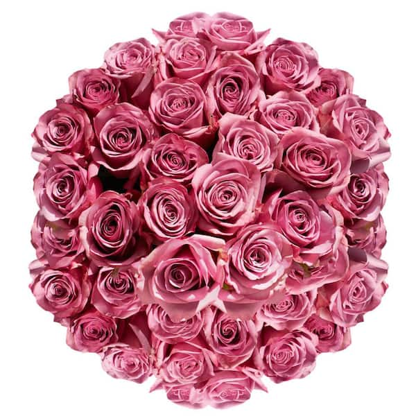 Globalrose Lavender Cool Water Roses- Fresh Flower Delivery (100 Stems ...