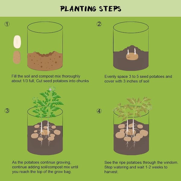 Grow bag Plants & Planters at