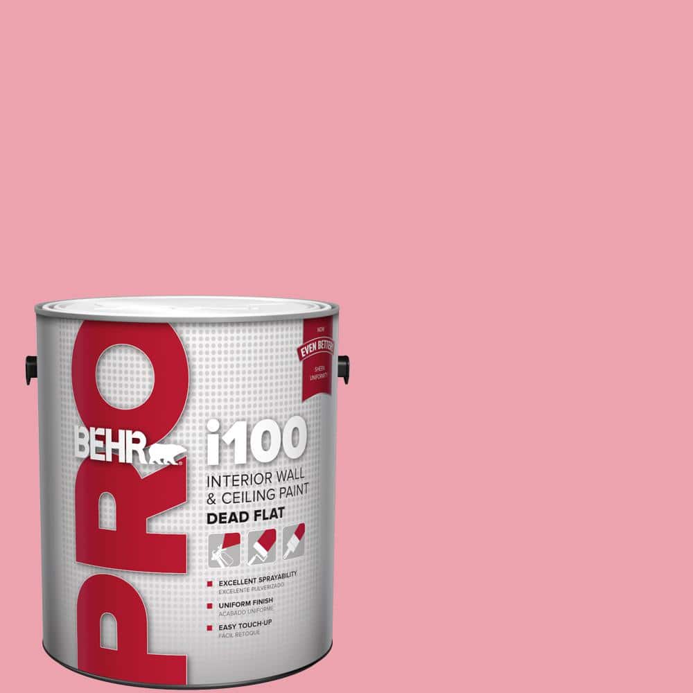1 gal. #P150-3 Pinque Dead Flat Interior Paint price history on PriceWatchPro