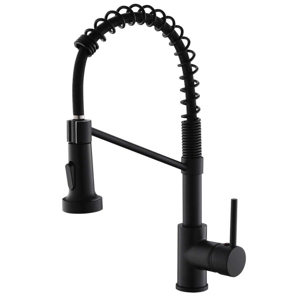 Flynama Single Hole Single-Handle Pull-Down Sprayer Kitchen Faucet In ...