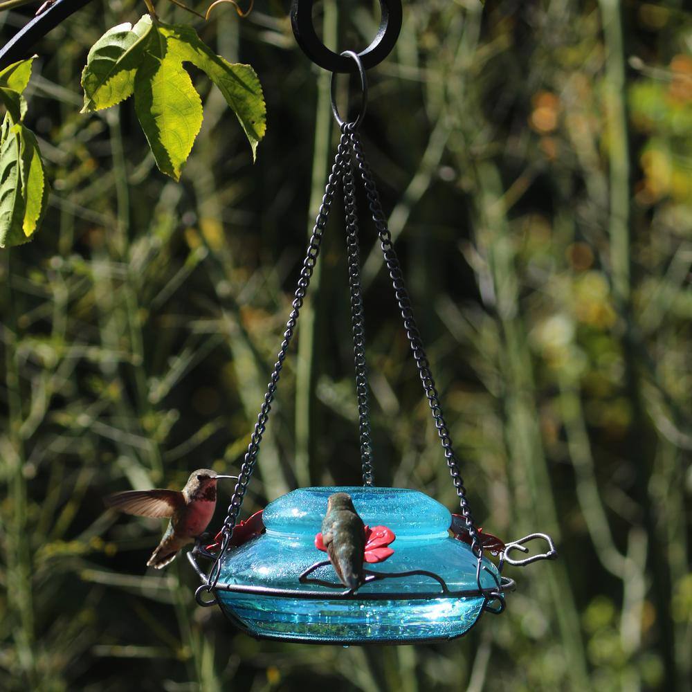 Hand Blown Blue Glass Hanging Hummingbird Feeder, 16 oz