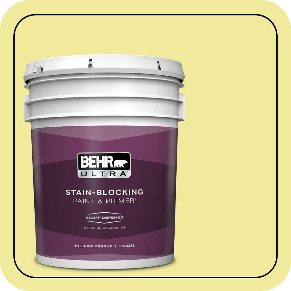 5 gal. #400A-3 Pear Extra Durable Eggshell Enamel Interior Paint & Primer price history on PriceWatchPro