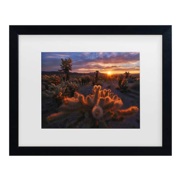 Trademark Fine Art Inigo Cia Cholla Garden Matted Framed Photography Wall Art 18 in. x 22 in.