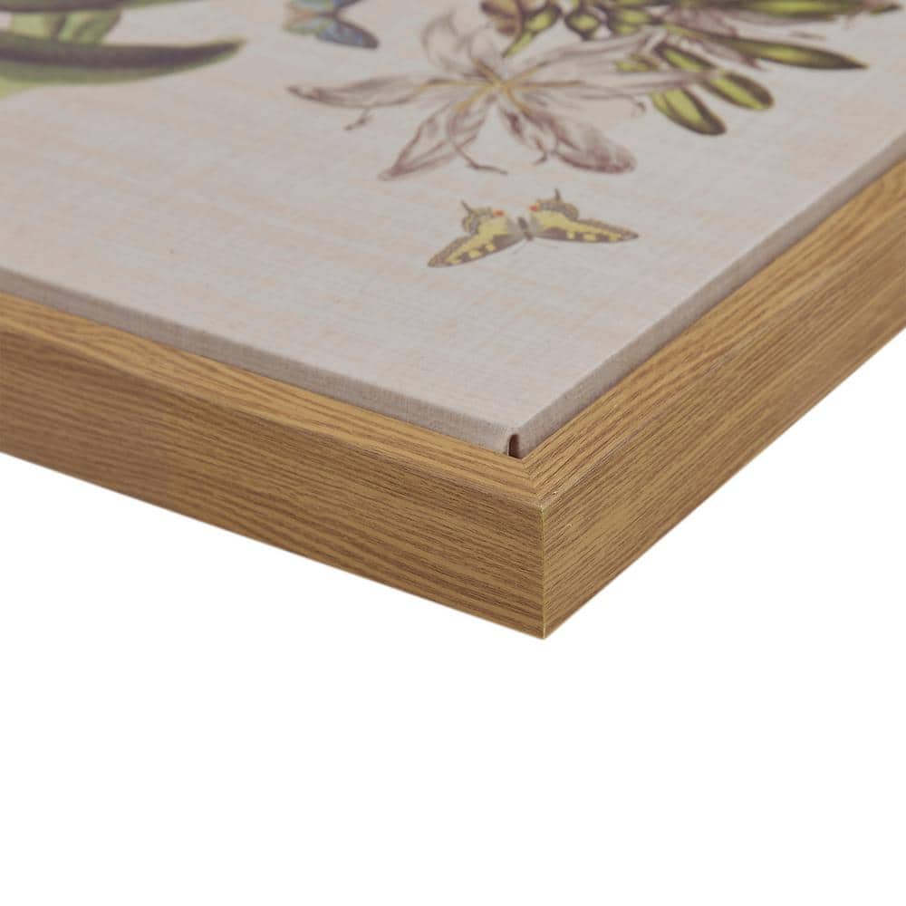 Herbal Botany 4-Piece Framed Canvas Wall Art Set with Botanical Illustrations