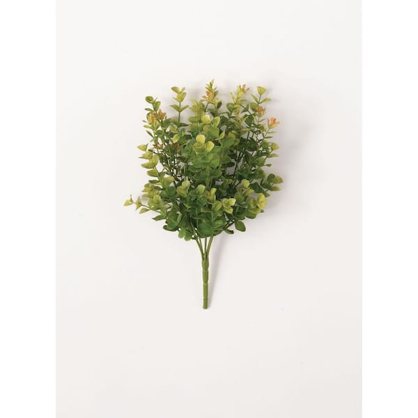 SULLIVANS Artificial 12 in. Green New England Boxwood Bush