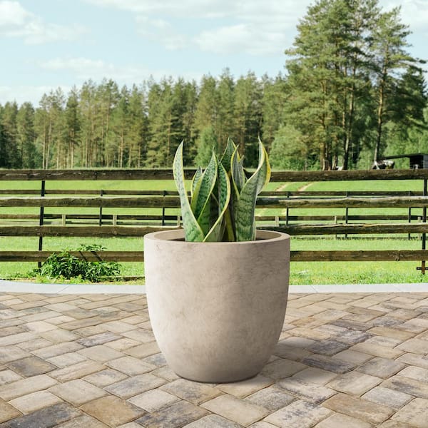 PLANTARA 14 in. D Round Concrete planter with Drainage Hole, Outdoor Flower  pot, Modern Planter pot for Garden PA050B-8021-2 - The Home Depot