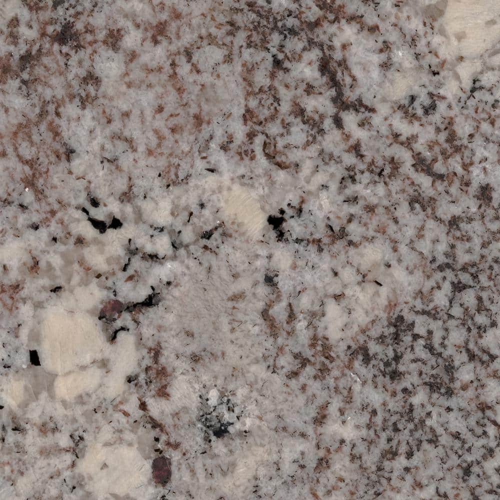 STONEMARK 3 in. x 3 in. Granite Countertop Sample in Sterling DT