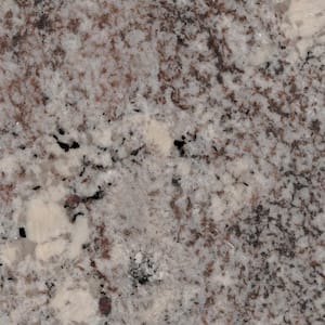 3 in. x 3 in. Granite Countertop Sample in Mystic Spring