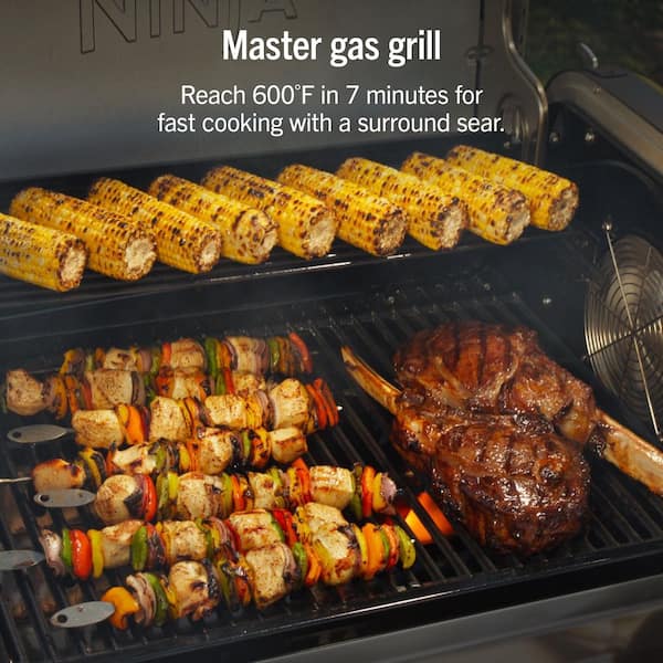 ブライスアウトフイット(クルル) NINJA FlexFlame ProConnect Wi-Fi 3-Burner Propane Grill in Black