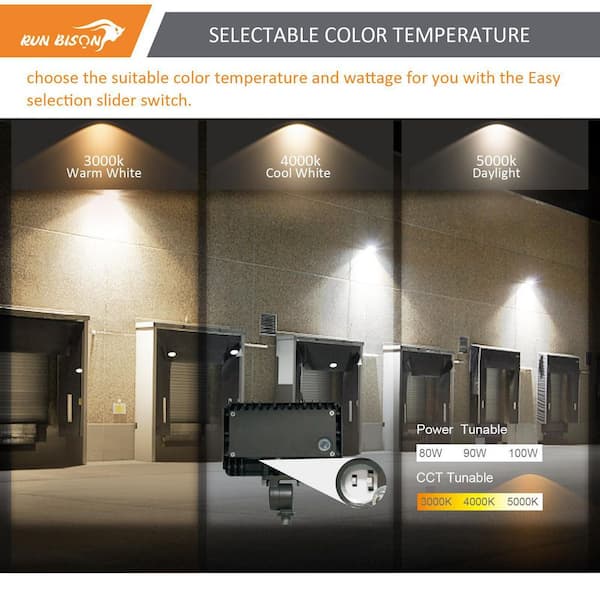 RUN BISON 270-Watt Equivalent 13000 Lumens Outdoor