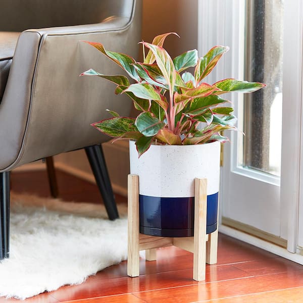 Henrietta Small 7.8 in. x 7.8 in. 5 Qt. White and Blue High-Density Resin Indoor Planter With Wood Stand