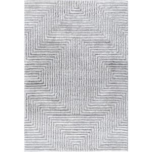 Delight Shag DEL-2309 5'3" x 7' Machine Woven Rug