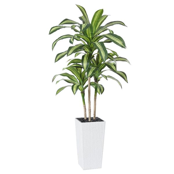 DR.Planzen 7 ft.Artificial Dracaena Tree UV Resistant with White Tall Planter, Faux Dracaena Tree for Outdoor