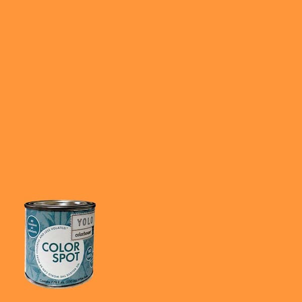YOLO Colorhouse 8 oz. Create .02 ColorSpot Eggshell Interior Paint Sample-DISCONTINUED