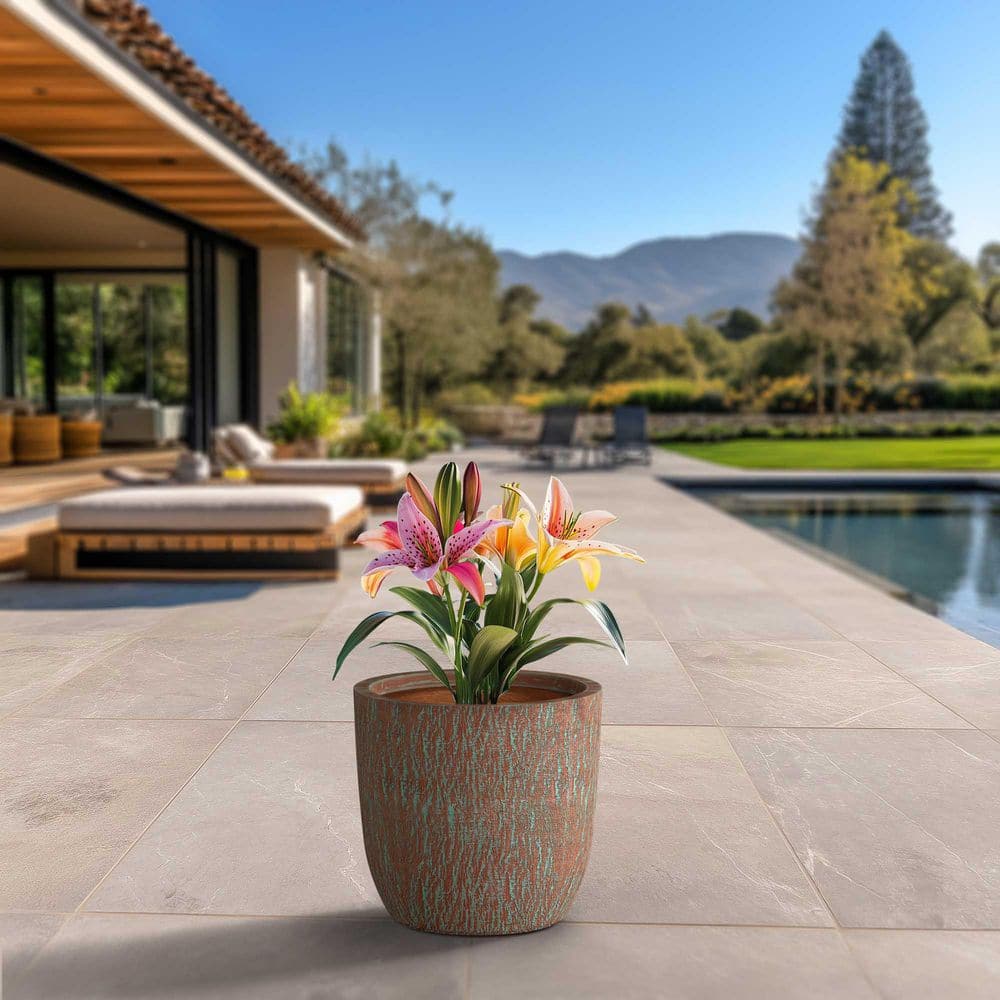 17 in. Large Muted Teal (Enhanced Interior) Concrete Round Planter / Pot with Drainage Holes price history on PriceWatchPro
