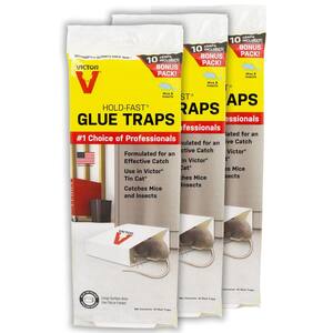Hold-Fast Disposable Mouse and Insect Glue Board Traps (30-Pack)