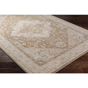 Avant Garde 7 ft. x 10 ft. Brown Border Indoor Area Rug