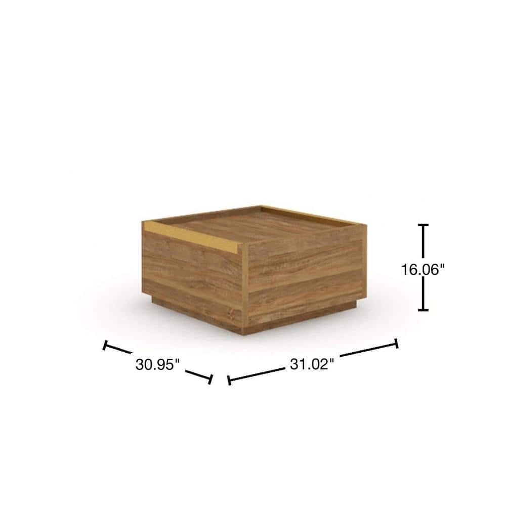 Sindoori Mango Modern Square Coffee Table with Storage