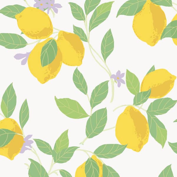 Envy Feeling Fruity Fresh Matte Non Woven Removable Paste The Wall Wallpaper Sample
